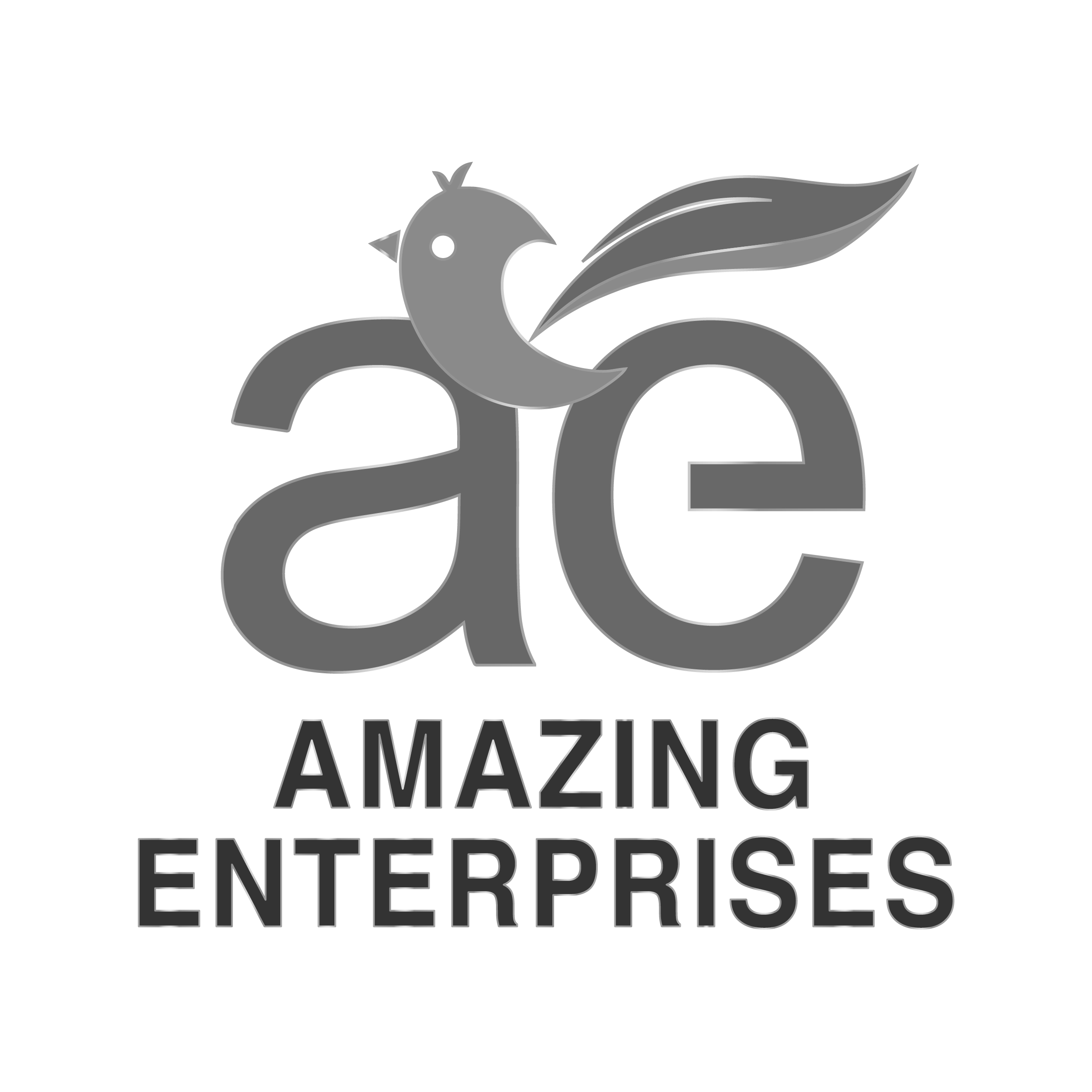 Amazing Enterprises